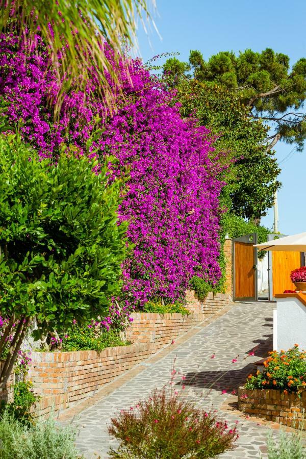 Villa Araucaria 카사밋쵸라테르메 외부 사진