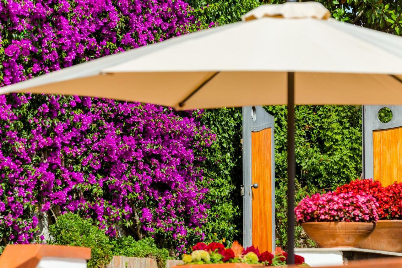 Villa Araucaria 카사밋쵸라테르메 외부 사진